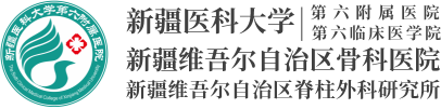 新疆六院